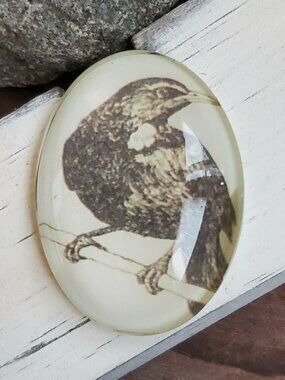 Edgar Allan Poe The Raven Victorian Gothic Bird Glass Oval Cabochon 40x30mm